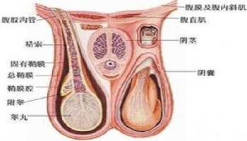 提高男性性功能技巧 ?光棍节快速脱单