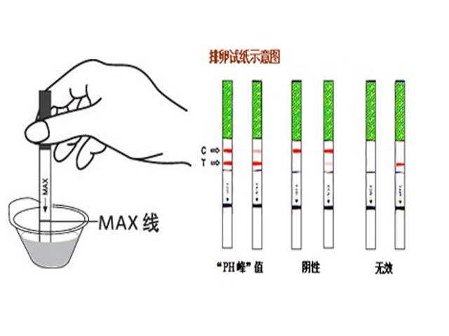 怀孕多久可以用试纸测出来?孕期女人的生理变化