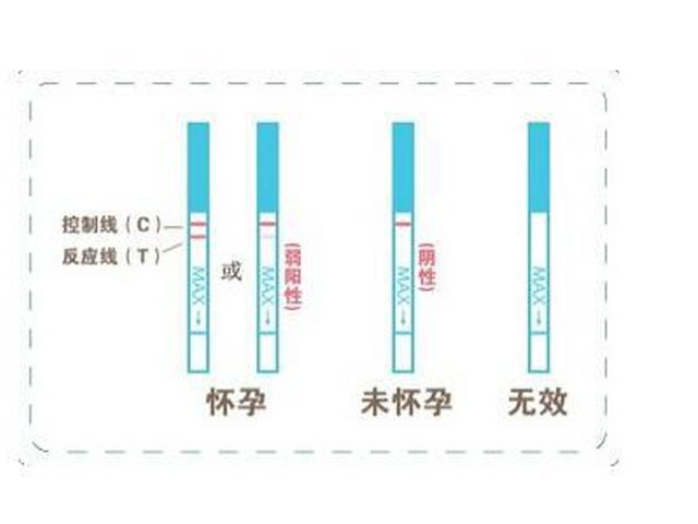 你家的验孕试纸准确吗？4个因素影响测孕精确度